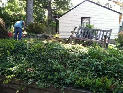 yard before yard before